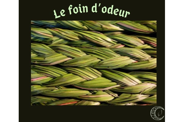 Le foin d'odeur Le foin d'odeur